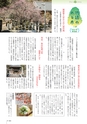 新たな自分に出会う情報発信誌　VIVO　2012年冬号　第28号